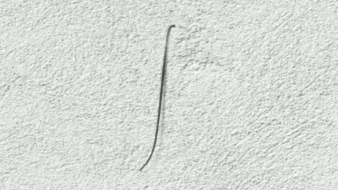 LE CHEVEU DANS LE MUR thumbnail