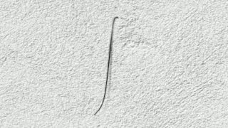 LE CHEVEU DANS LE MUR