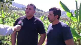 Granizo causa prejuízo milionário em regiões da Zona da Mata