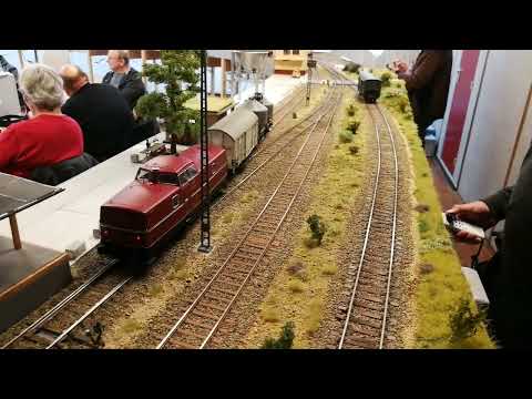 Spur 0 MBW V80 rangiert beim Fremo:45 Treffen in Lichtenvoorde 2022