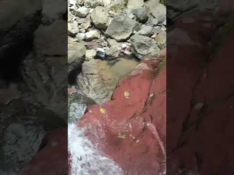 Hermosa cascada en el municipio del Carmen de Chucurí, Santander. #campo #naturaleza #cascadasnieto
