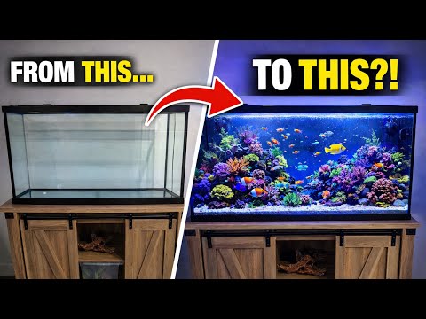 BUILDING MY FIRST REEF TANK