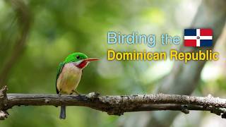Birding the Dominican Republic and Seeing Amazing Endemics