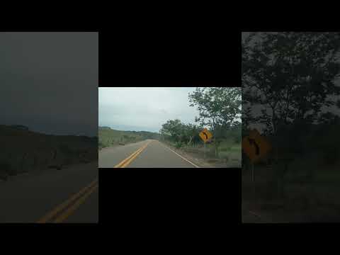 PAIXÃO DESENFREADA ( @carreiroecapataz  ) CAPITÃO ANDRADE MINAS GERAIS 🇧🇷🇧🇷🇧🇷🇧🇷