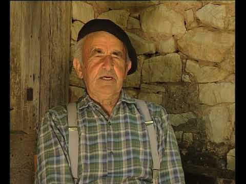 Joan-Joan