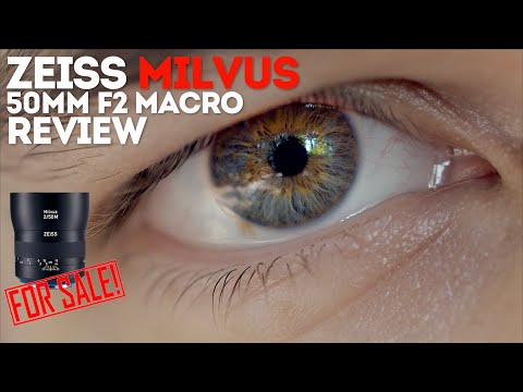 Video thumbnail for Video Review 2