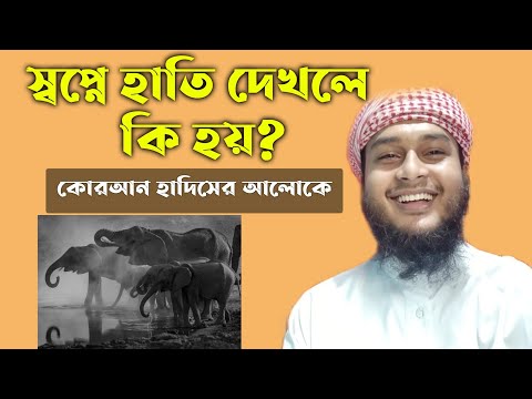 স্বপ্নে হাতি দেখলে কি হয় | swapne hati dekhle ki hoy | স্বপ্নে হাতি দেখার | dream explanation | zbe