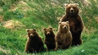 Just a closer walk with thee -Bobby Bear & The Texas Teddybears