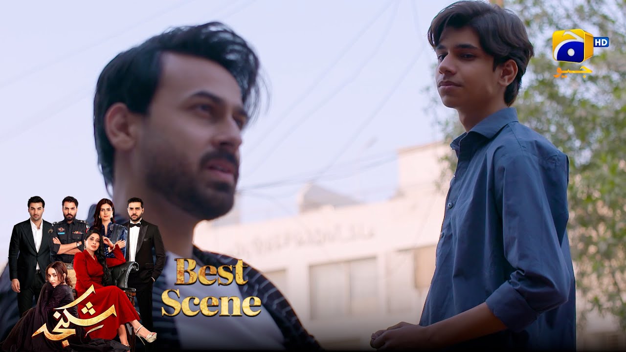 Shikanja Episode 29 | 𝐁𝐞𝐬𝐭 𝐒𝐜𝐞𝐧𝐞 𝟎𝟑 |  Azekah Daniel - Asad Siddiqui - Furqan Quresh | Har Pal Geo