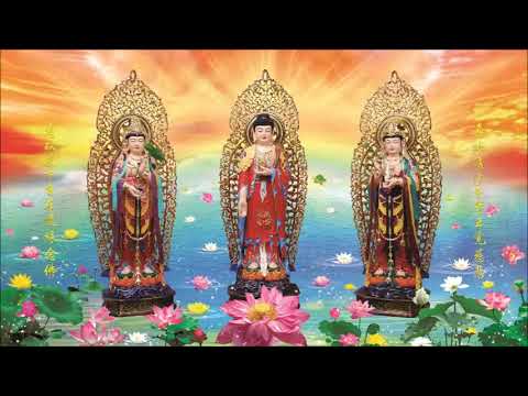 Tập 16 - Kinh Quán Vô Lượng Thọ Sớ Sao Diễn Nghĩa | Lão Pháp Sư Tịnh Không