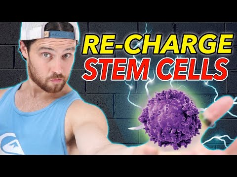 How Intermittent Fasting / Prolonged Fasting Can Regenerate STEM CELLS