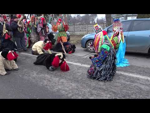 Ursul de la Blagesti 2018 - 2019 part 2