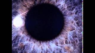 Dan Swano   In Empty Phrases