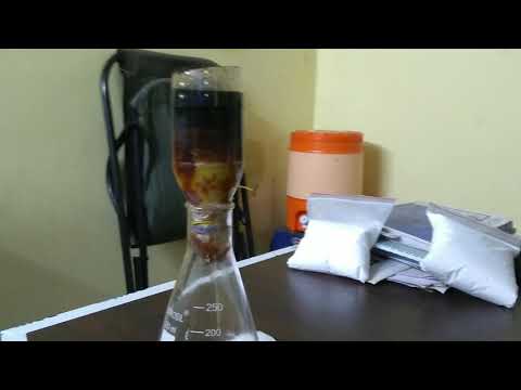 Carbon Removal Experiment 02