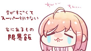 ガチでなんもない。タスケテ。限界飯すぎる。【#一条莉々華/hololive DEV_IS ReGLOSS】