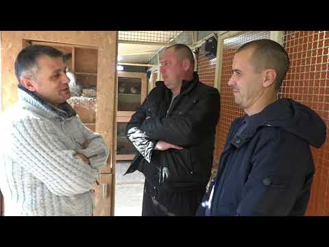 Batica Cvetković seniorski prvak Srbije za 2017 godinu u Medjuokružnom savezu