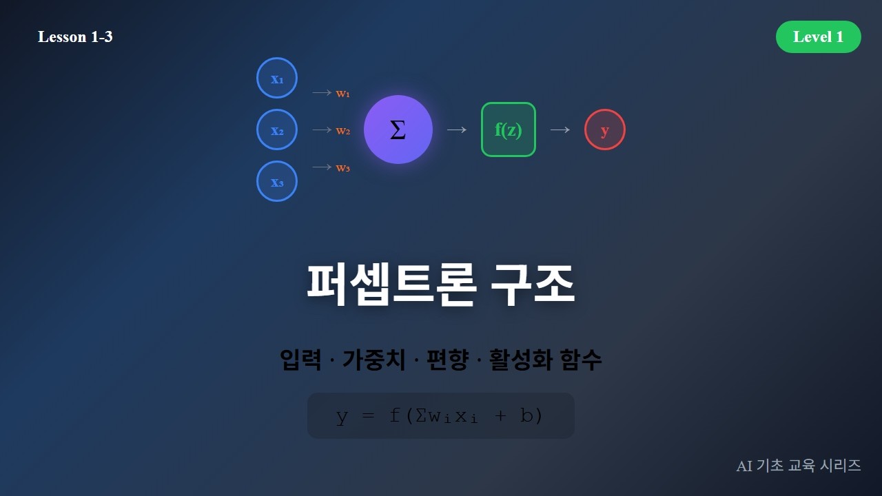 퍼셉트론 구조 강의 영상