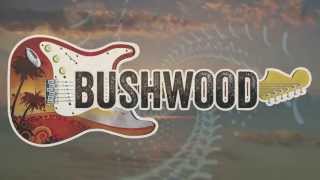 "Let It Flow" by BUSHWOOD [Lyric Video]