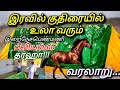 Biviamma Dargah The Pious Woman Who Majestically Rides A Horse At Night Is The Goddess Of Wealth