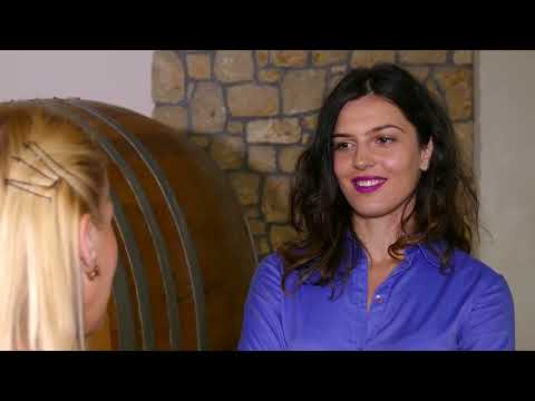 Srpski Merlo koji osvaja svet – Vinarija Jeremić otkriva recept za uspeh!