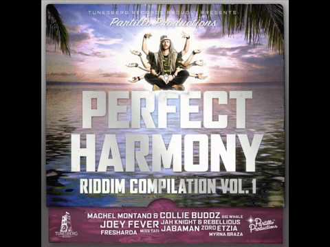 PERFECT HARMONY RIDDIM MIXX BY DJ-M.o.M MACHEL MONTANO, COLLIE BUDDZ, MYRNA BRAZA, JABAMAN more