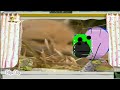 The Amazing World Baby Tv Fox