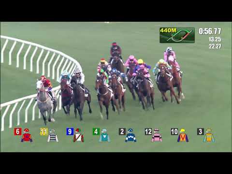 16/1/2022 (346) Romantic Warrior - J Moreira (4 wins streak!)