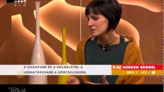 Női bajok kezelése gyógynövényekkel - Csehi-Pogány Frida 