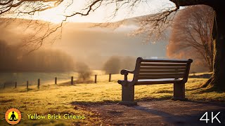 4K Sunset Meditation & Nature Relaxation Music: Soothes the Nervous System | Heals Stress & Anxiety