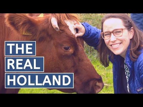 DAY TRIP from Amsterdam in Nature // Visit Old Holland