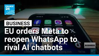 EU orders Meta to reopen WhatsApp to rival AI assistants • FRANCE 24 English
