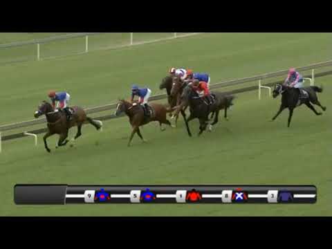 IKIGAI - Tony Ruffel