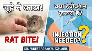Rat Bite Treatment: Do rat bites cause rabies | Does rabies injection need