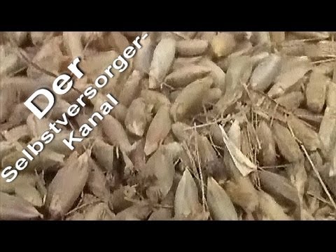 Wie trenne ich die Spreu vom Getreide