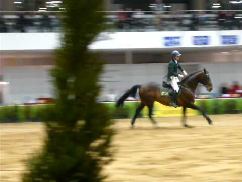 Marino Jacek Bucki CSI2*-W Poznań 14.02.2009 Potęga skoku