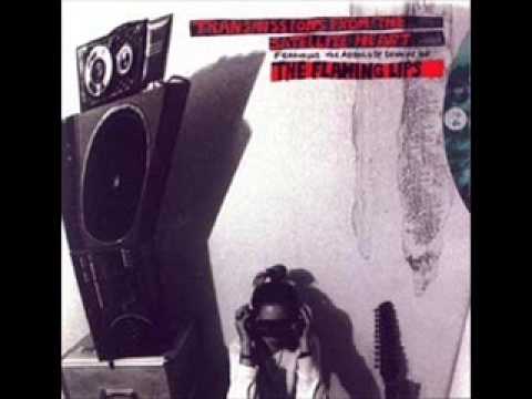Slow Nerve Action - The Flaming Lips