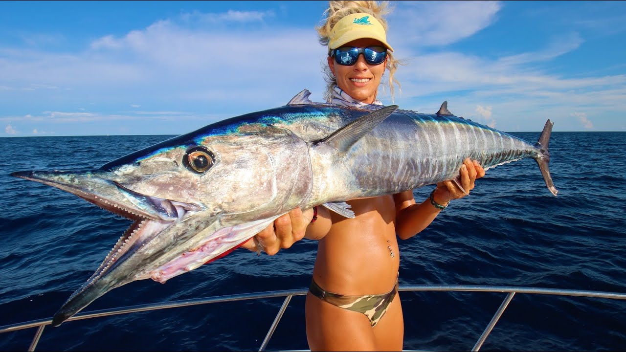 Giant WAHOO! Best RAW FISH Ever! Wahoo Homemade Sushi Catch Clean Cook