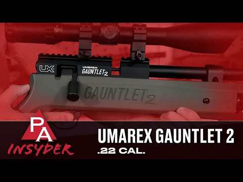 Indepth Review of the Umarex Gauntlet 2 .22 Caliber