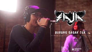 Download lagu KSSLS #80 - SAJA - BURUNG GAGAK TUA mp3 Download lagu KSSLS #80 - SAJA - BURUNG GAGAK TUA mp3