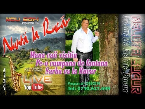 NELUTA BUCUR . Mana caii vizitiu - Pe-o cumpana de fantana - Sarba ca la Rucar (live 2014)