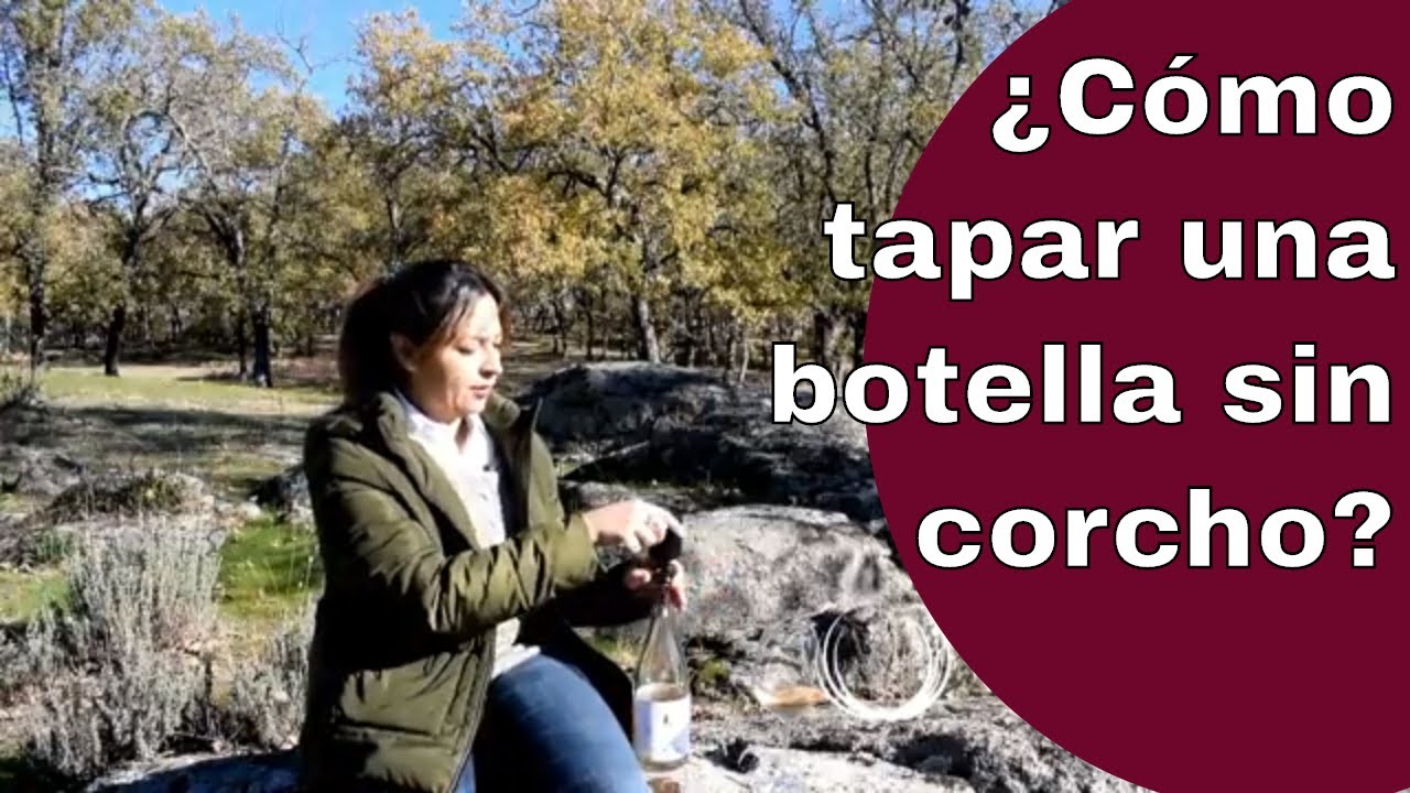 Watch 🍾 ¿Cómo tapar una botella de cava o champagne sin corcho trucos y accesorios para vinos espumosos Now 🍾 ¿Cómo tapar una botella de cava o champagne sin corcho trucos y accesorios para vinos espumosos