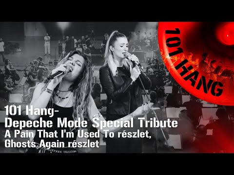 '101 Hang Special Tribute' -  Pain That I'm Used To / Ghosts Again (részlet)