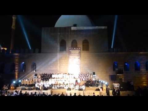 Freddy Sahin Scholl - Musikfestival in Kairo