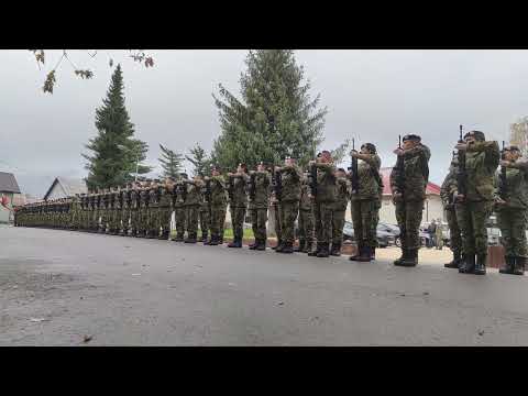 29.obljetnica ustrojavanja 9.GBR Vukovi:  Dolazak Milanovića