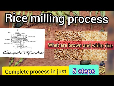 image-What are the steps in processing rice?