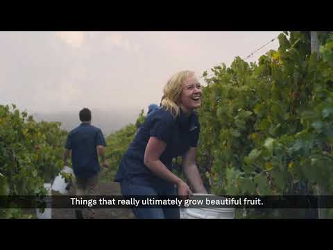 Austin's Wines