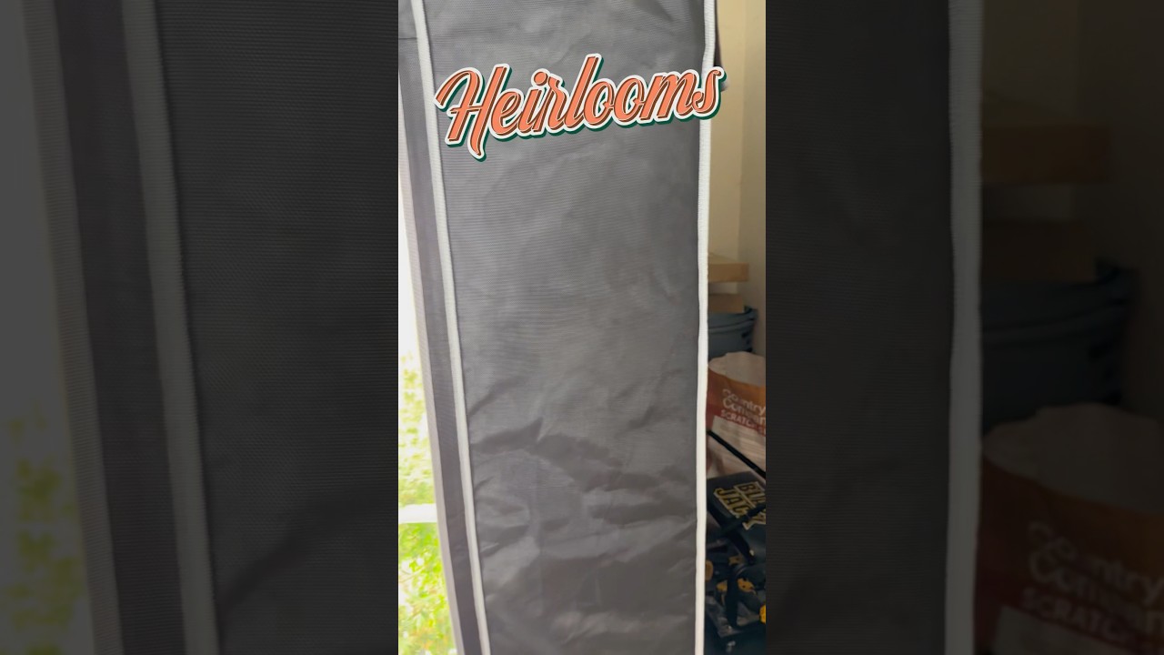 These Heirloom Genetics Are Rare for a Reason #cannabis #genetics