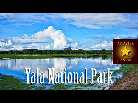 Yala National Park, Sri Lanka, 28 November 2021 | Sri Lanka's most famous national park!