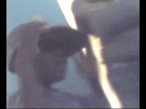 puro soye junior jein