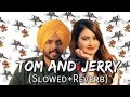 Tom And Jerry Slowed Reverb Satbir Aujla Satti Dhillon Divya Puri Punjabi Lofi Songs
